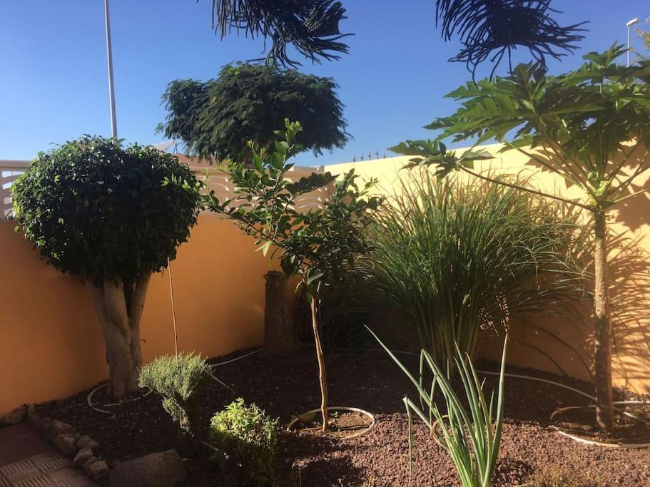 Independiente Estudio En Acogedora Casita De Mai Costa Adeje Dış mekan fotoğraf