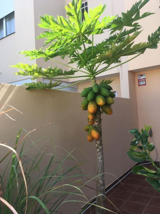 Independiente Estudio En Acogedora Casita De Mai Costa Adeje Dış mekan fotoğraf