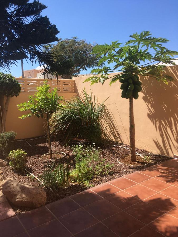 Independiente Estudio En Acogedora Casita De Mai Costa Adeje Dış mekan fotoğraf